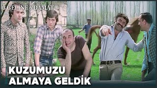 3 Geline 6 Damat Türk Filmi | Serserilerden Dayak Yiyen Uğur ve Demir Bunu Gururlarına Yediremez