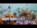 tj노래방 너는나에게 피터팬컴플렉스 you gave me peter pan complex tj karaoke