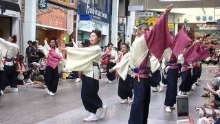 ５８回高知よさこい　愛宕町愛組の帯屋筋での演舞.mpg