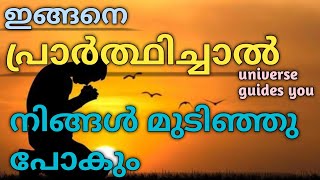 ഇങ്ങനെ പ്രാർത്ഥിച്ചാൽ നിങ്ങൾ മുടിഞ്ഞു പോകും 💯| #tarot #astrology #malayalamtarot