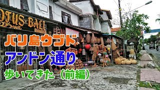 バリ島ウブド・アンドン通りを歩いてみた（前編）/Street view Jl.Andong Ubud Bali vol.01