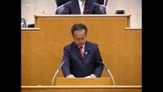 H25.12.05 愛知県議会 本会議 飛田常年（自由民主党）