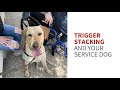 Trigger stacking and service dog training