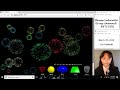 Math, Python Series 40 - 3D Firework simulation (3D 焰火, 烟花)