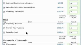 Managing a wedding plan budget with The Knot