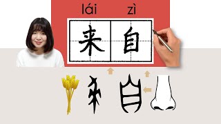 NEW HSK2/HSK4/来自/來自/laizi_(come from)How to Pronounce \u0026 Write Chinese Word \u0026 Character #newhsk2