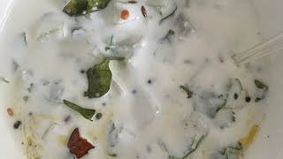 #louki #dahi Louki dahi / #sorakaya #perugupachadi#yogurt with #bottle-gourd