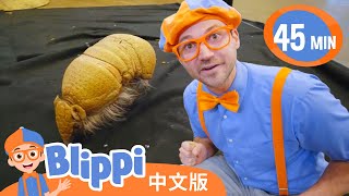 比利皮的动物园神奇之旅！ | Playing At The Zoo | 幼儿中文实景探索 | Moonbug Kids | 卡通片 | 熱門系列合集 TOP | Blippi