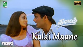 Kalai Maane Official Video | Full HD | Thaalam | A.R.Rahman | Akshaye Khanna | Aishwarya rai