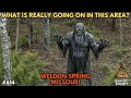 Bigfoot Lives in Weldon Spring | Missouri | Bigfoot Society 614