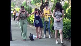 Fake Husky Dog Scary Prank