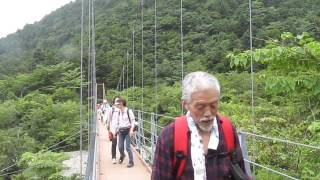 2015.7.4　富士山一周ドリームウォーク　７班（大宮）　麓の吊り橋にて