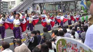 大富士with雄大グループの演舞　２０１６原宿スーパーよさこい＠表参道アヴェニュー