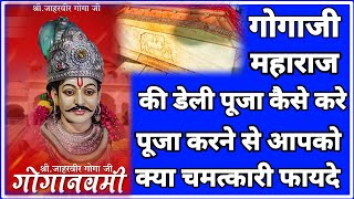 Gogaji| की हर रोज पूजा करने के चमत्कारी फायदे ||पूजा करने वाले के साथ चलते ह गोगाजी महाराज 🙏🙏