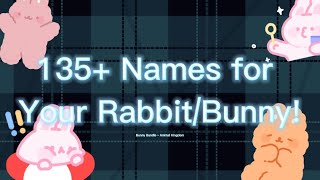 🐰 Bunny Names - For Female & Male! - Kitty Craze