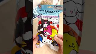 ✨Opening Sanrio Blind Bag!✨ #sanrio #japan #fivebelow #kuromi #mymelody #pompompurin #hellokitty