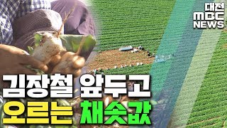 김장철 앞두고 채솟값 급등/대전MBC