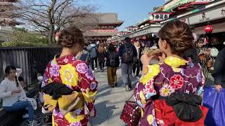 A walk around Nakamise Road (Asakusa) in Tokyo ～浅草・仲見世通りを散歩～