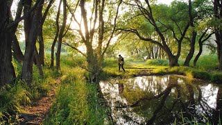 Solo Hiking Upo Wetland which was created 140 million years ago / Car Camping