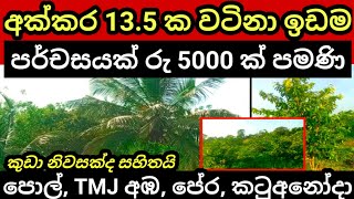 Pol idam | පර්චසය රු 5000 කට | Land for sale | Agriculture land | Aduwata idam | Aduwata niwasa