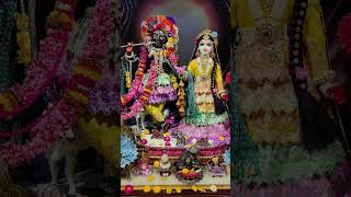 Jai jai Radha raman hari bol#radhekrishna #radhe radhe 🙏🙏🙏🙏🙏🙏# hare krishna🪈🪈🪈🪈🪈🙏🙏🙏🙏🪈🙏