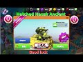 Hatched Hausk Dragon-Dragon Mania Legends | Second Day Daily Bingo Event | DML