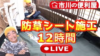 史上初１２時間作業【防草シート施工ダイジェスト】見ながらライブ配信｜千葉県市川市の便利屋！各作業料一覧、お問い合わせ先は概要欄をご覧下さい！