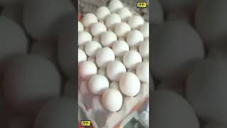 30 Eggs Biggest Omelette  #biggestomelette #food #shorts