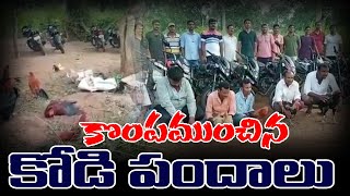 కొంపముంచిన కోడిపందాలు  | 9EXPRESS |