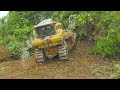 The Easiest Way To Clean Abandoned Plantations Using a Dozer, CAT D7R The Most Suitable Dozer