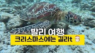 [🇮🇩] EP.1 OK다이버리조트•빠당바이 항구•블루워터•길리t•길리비치프론트•거북이🐢•스노쿨링🤿•윤식당