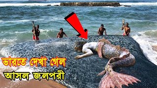 জলপরী কি সত্যিই এখনও এই পৃথিবীতে আছে? প্রমান সহ দেখে নিন /Real Life Mermaids Caught On Camera