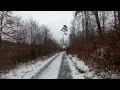 hiking in the forest in winter episode 03