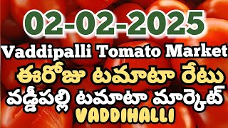 Vaddipalli Tomato Market🍅|ఈరోజుటమాటారేటు|#TodayTomatoRateInVaddipalli|02-02-2025|@ckgowthamvlogs