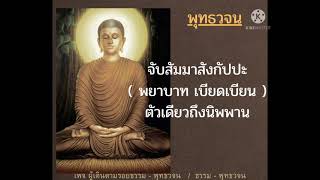 จับสัมมาสังกัปปะ ( พยาบาท เบียดเบียน )ตัวเดียวถึงนิพพาน /คำสอนของ พระพุทธเจ้า \u0026 พุทธวจน