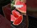 watermelon  part 4 l how to make  organik watermelon l menanam semangka organik #watermelon #shorts