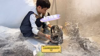 《两只小可爱的上门洗护秀，布偶\u0026蓝猫等你来围观》#南宁#上门洗猫 #抖音萌宠 #萌宠出道计划Diy mini people | mini car | @Mini Creative 【Mud Mini