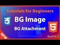 HTML5 and CSS3 Tutorials for Beginners - CSS Background Image and Background Attachment