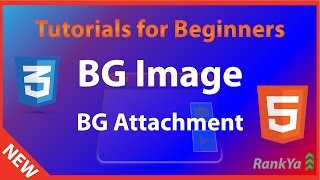 HTML5 and CSS3 Tutorials for Beginners - CSS Background Image and Background Attachment