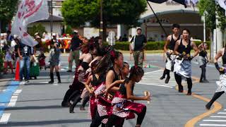 わいわい連 ⑴ 2018 8 19坂戸夏よさこい　南口会場