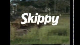 Skippy - générique en français