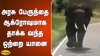 அரசு பேருந்தை ஆக்ரோஷமாக தாக்க வந்த ஒற்றை யானை | Ooty Otrai Yaanai | Ooty Elephant