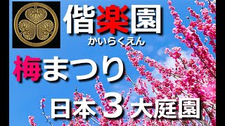 偕楽園　水戸　梅まつり　日本三大庭園