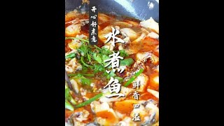 家庭版水煮鱼，少油版，一家人围炉吃热乎乎得水煮鱼，微辣鲜香，暖身暖胃#水煮鱼#麻辣鲜香 #家庭版水煮鱼#色香味俱全的家常美味