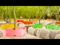 Green Thumb Cultivation Reel - Danville, PA