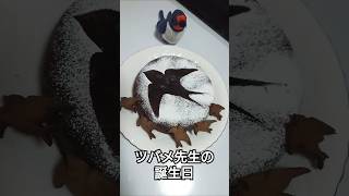 ツバメ先生の誕生 日。　#誕生日　#誕生日ケーキ　#バースデーケーキ 　#ガトーショコラ　#手作りクッキー　#swallow