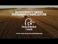 Biodiversity needs sustainable agriculture