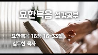 31. 십자가의 승리(요한복음16:16~33)