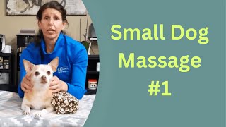 Small Dog Massage Techniques Part 1