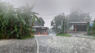 Super Rain Big Thunder Water overflowed in the scary Red soil Village | Rain For Relaxing